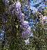 p23.jpg